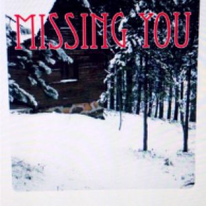 Missing You by Lori Bell, Author
