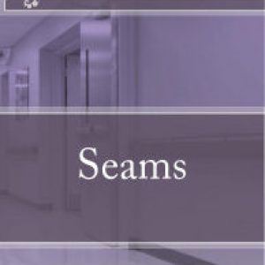 Seams by Lori Bell, Author